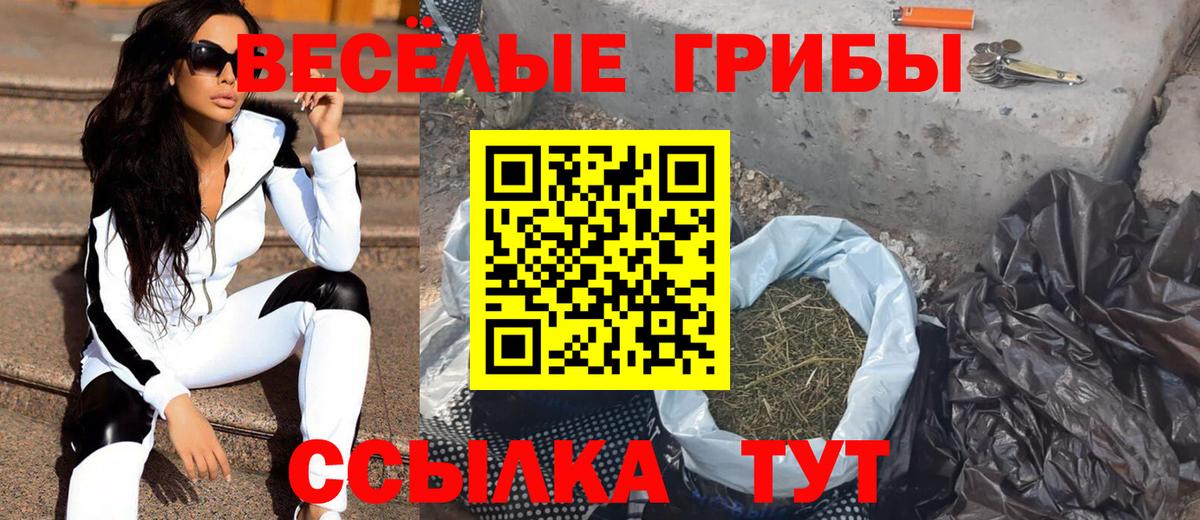 Псилоцибиновые грибы Magic Shrooms  Вход с VPN  даркнет сайт  Шатура 