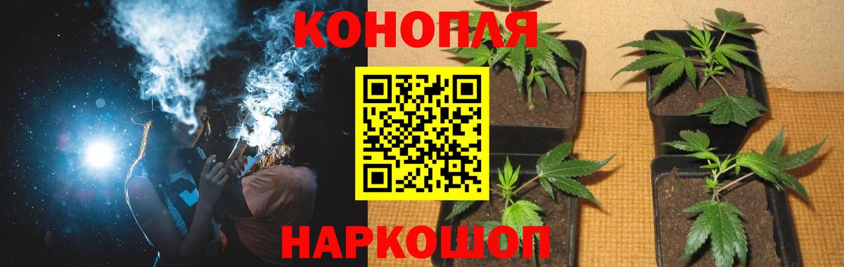Марихуана тримм Шатура